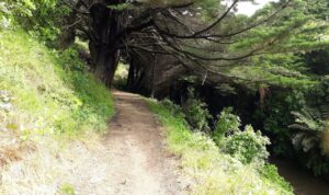 4 - Stebbings Dam Recreation Area to Rochdale Drive