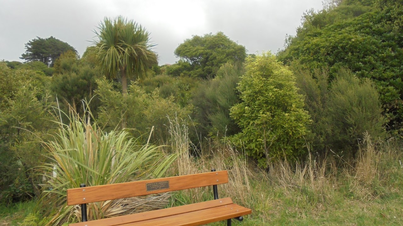 Good growth in the block behind the seat donated by the Johnsonville Lions Club
