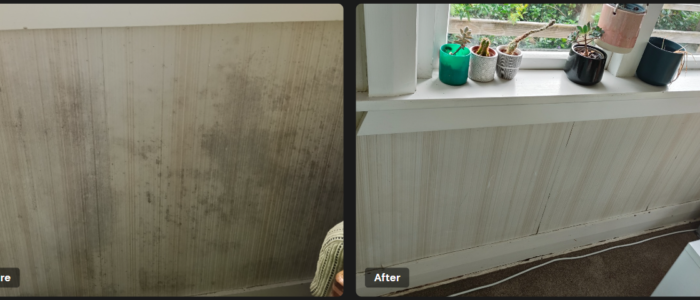FreshFix Cleaning Services