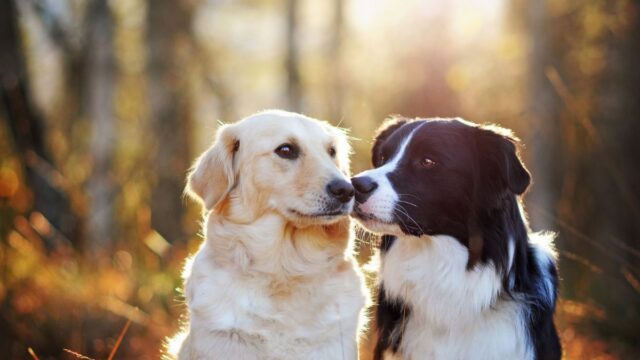 CP-Gallery-photos-1200-x-800-px4